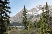 54 - Bow Lake  - IMG_0894